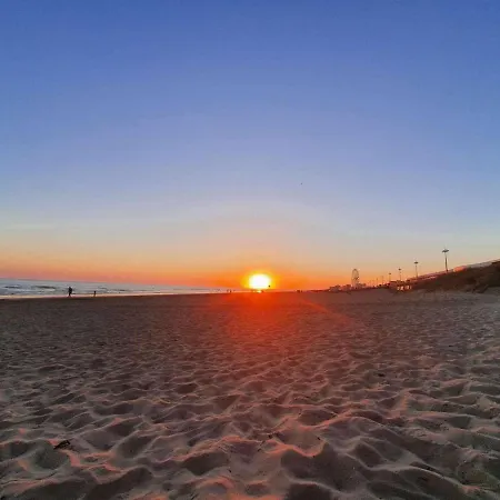 Apartment 2 Pieces, 5 Couchages Balcon - - Fr-1-224c-262