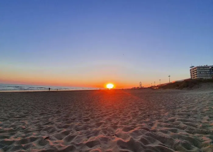 דירה 2 Pieces, 5 Couchages Balcon - - Fr-1-224c-262